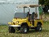 Jeep Golf Cart